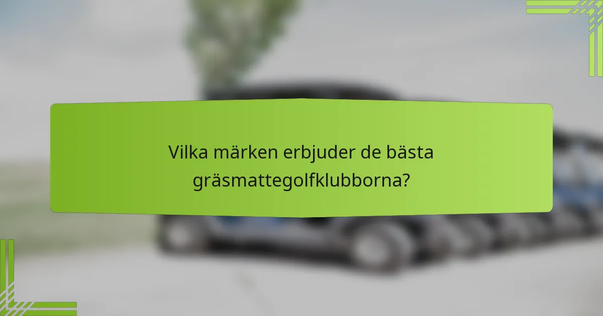 Vilka märken erbjuder de bästa gräsmattegolfklubborna?