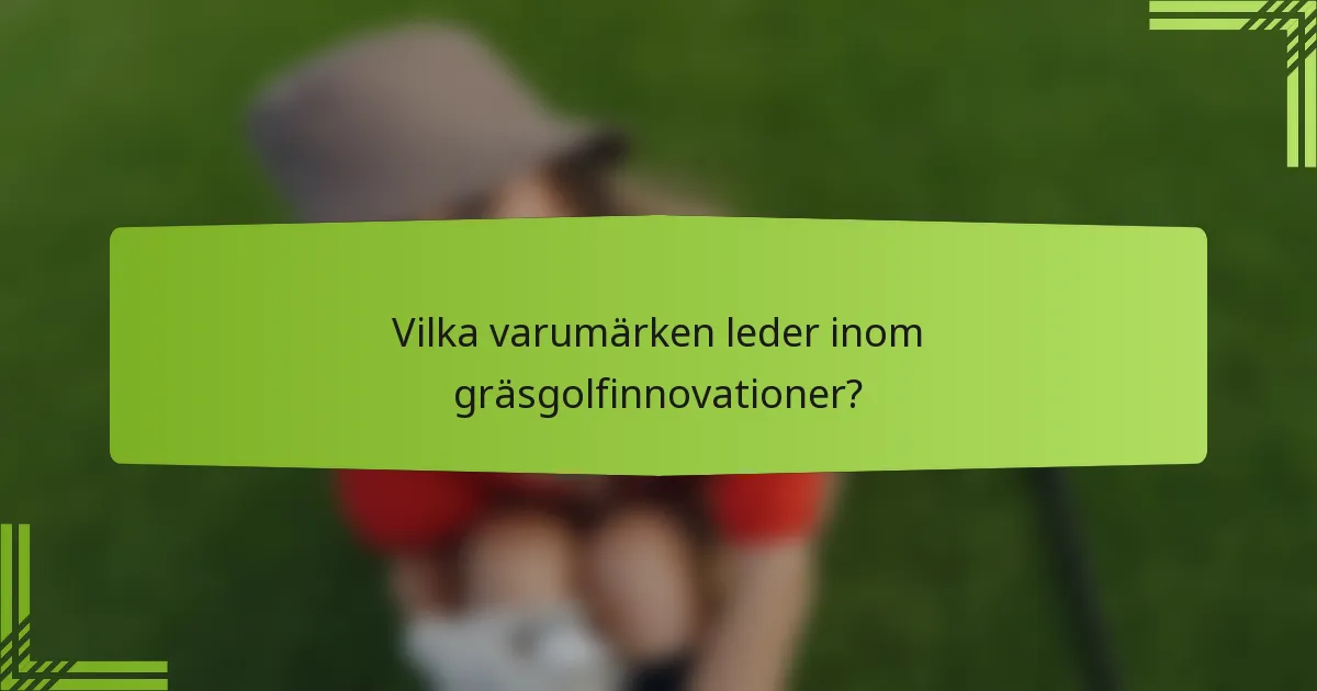 Vilka varumärken leder inom gräsgolfinnovationer?